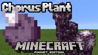 How to plant and use chorus fruit  MCPE [upl. by Cammy]