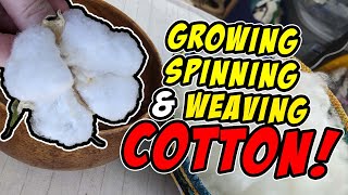 Growing Spinning and Weaving Cotton [upl. by Nnylaj]