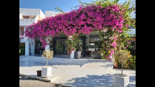 Hotel Anissa Beach amp Village Kreta Crete [upl. by Boardman]