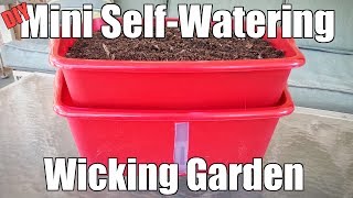 DIY Mini SelfWatering Wicking Garden [upl. by Ynaffet]