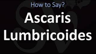 How to Pronounce Ascaris Lumbricoides CORRECTLY [upl. by Relluf956]