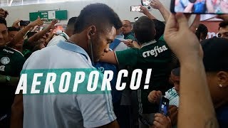 QUE FESTA DA TORCIDA PALMEIRAS CHEGA A LONDRINA [upl. by Otinauj]