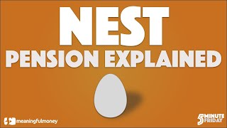 NEST Pension Explained [upl. by Aynekat]