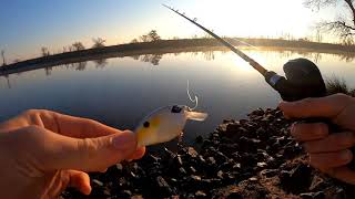 Fishing Shag Slough [upl. by Akemhs623]