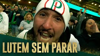 A EXPLOSÃO DA TORCIDA NA CLASSIFICAÇÃO DO PALMEIRAS [upl. by Sulecram85]