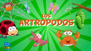 Los Artrópodos  Videos Educativos para Niños [upl. by Meggy96]