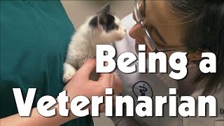 Being a Veterinarian  The Friday Zone  WTIU  PBS [upl. by Novy]