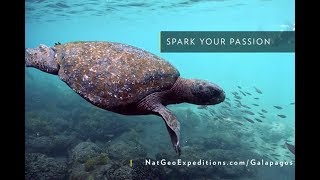 Exploring the Galápagos Islands [upl. by Navi]