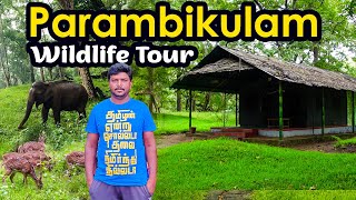 பரம்பிக்குளம் மிஸ் பண்ணக் கூடாத சுற்றுலா தலம் Parambikulam Wildlife Tourism I Village Database [upl. by Ehudd]