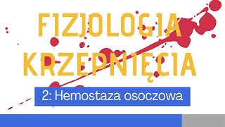 Fizjologia krzepnięcia 2 Hemostaza osoczowa [upl. by Krell98]