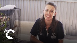 A Day in the Life Melbourne Veterinary Student [upl. by Audly]