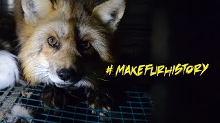 Exposing the Fur Industry [upl. by Orteip737]