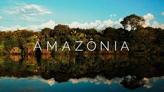 AMAZÔNIA  Viagem pela Floresta Amazônica Brasil  4K Ultra HD [upl. by Enogitna]