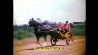 TONICO E TINOCO  MORENINHA LINDA  1961Legendado [upl. by Hara681]