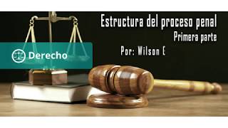 Estructura del proceso penal parte 1 [upl. by Acinnej]