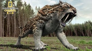 National geographic Documentary  Prehistoric predators  Wildlife Animals [upl. by Nannette]