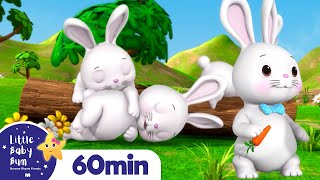 Sleeping Bunnies  LittleBabyBum  Nursery Rhymes for Babies [upl. by Hudis856]