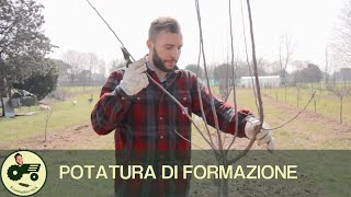 La potatura di formazione  Il contadino Nick [upl. by Etnauj]