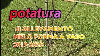 POTATURA MELO a Vaso [upl. by Allveta]