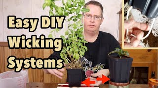 Easy DIY wicking systems you can make at home [upl. by Abisia]