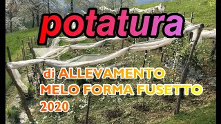 POTATURA DI ALLEVAMENTO MELO 2 [upl. by Greyso]