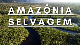 Amazônia Selvagem  Berço da vida  Documentário dublado HD [upl. by Blondelle]