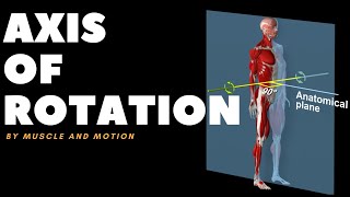 Understanding Axes of MovementRotation [upl. by Haleehs]