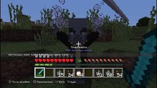 Minecraft evoker attack [upl. by Aiclef]