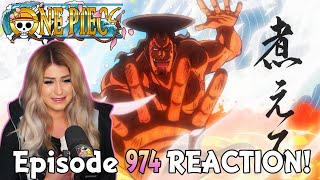 Oden Wouldnt Be Oden If It Wasnt Boiled  One Piece Episode 974 Reaction  Review [upl. by Milicent]