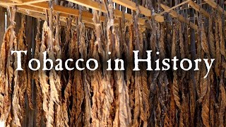 Growing Tobacco In Early America [upl. by Felix105]