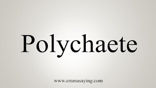 How To Say Polychaete [upl. by Siblee]