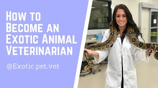 How to Become an Exotic Animal Veterinarian [upl. by Tedda]