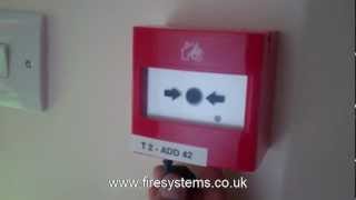 Fire Alarm Weekly Test  Fire Systems Ltd [upl. by Cline]