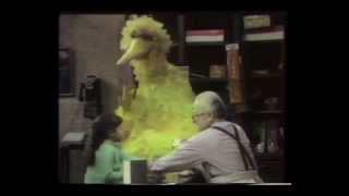 Sesame Street  Everyone Makes Mistakes  1970 [upl. by Jeromy]