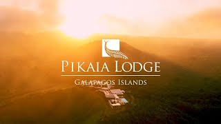 Pikaia Lodge Official video  February 2024 [upl. by Weaks835]