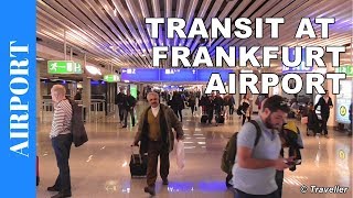 TRANSIT WALK AT FRANKFURT Airport FRA Terminal 1  Connection Flight Transfer Arriving amp Departing [upl. by Comyns]