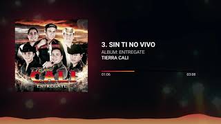 Tierra Cali  Sin Ti No Vivo [upl. by Yadseut]